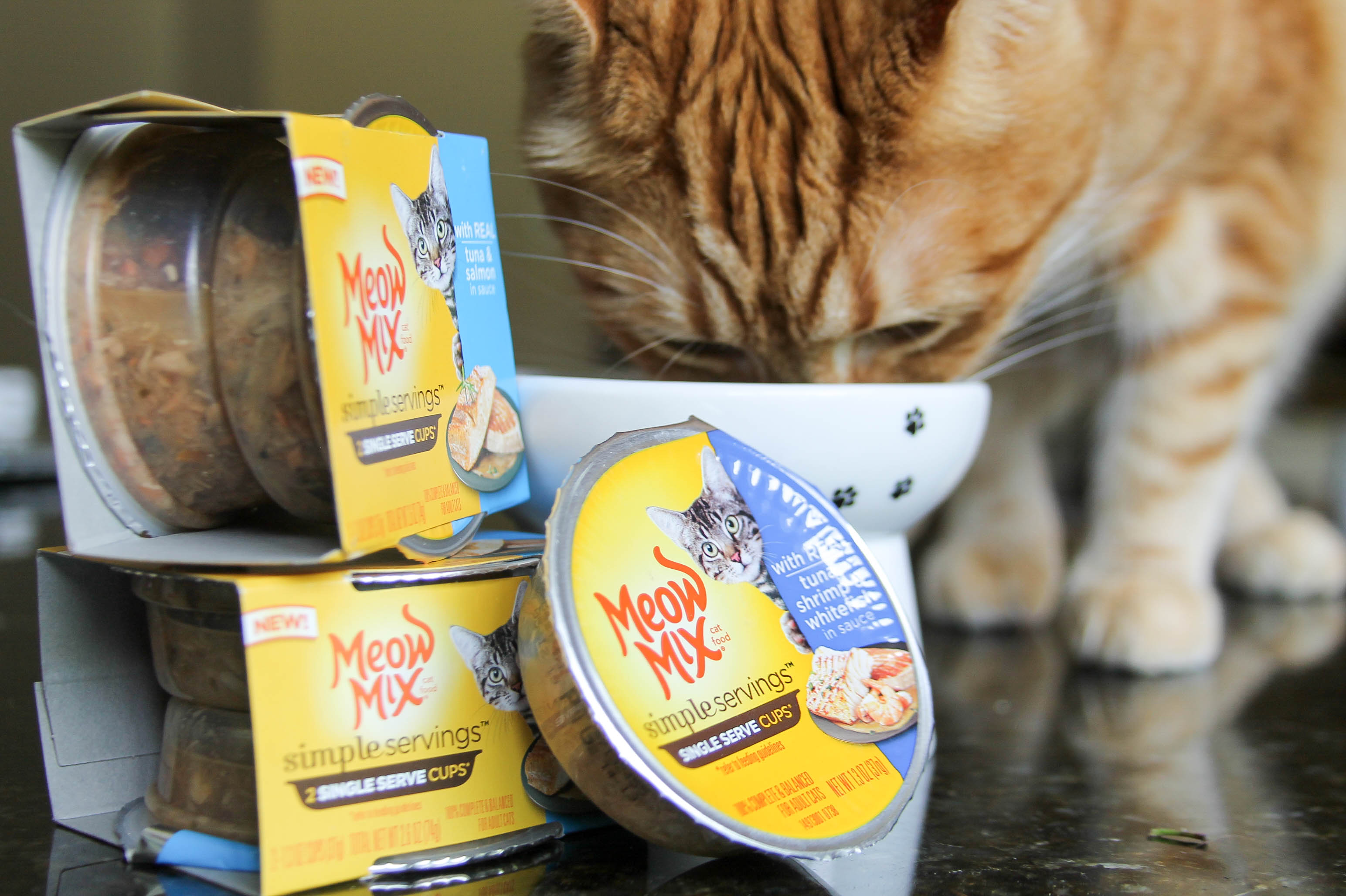 How to Make Your Cat Feel Appreciated After a Big Move